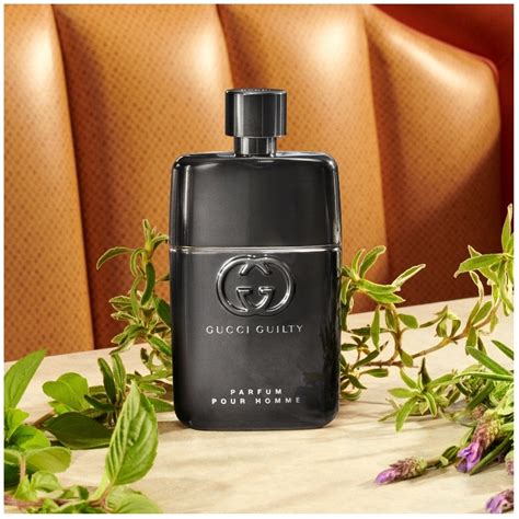 prix gucci guilty homme|gucci guilty pour homme fragrantica.